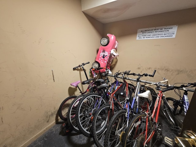 50 Old Oak Dr Unit 114, Buffalo Grove, IL 60089 - garage with bike storage