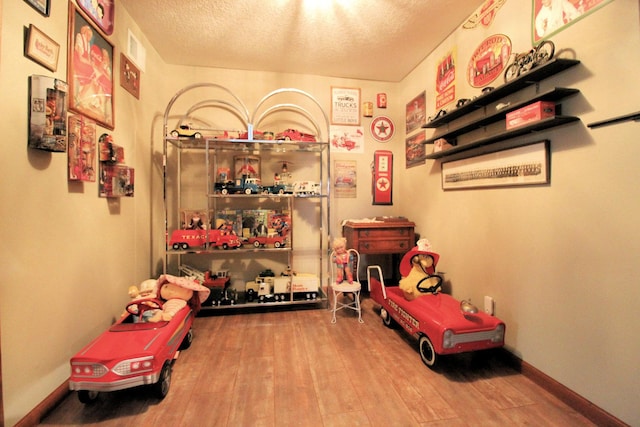 396 W 8th St, Manteno, IL 60950 - miscellaneous room with wood finished floors and a textured ceiling