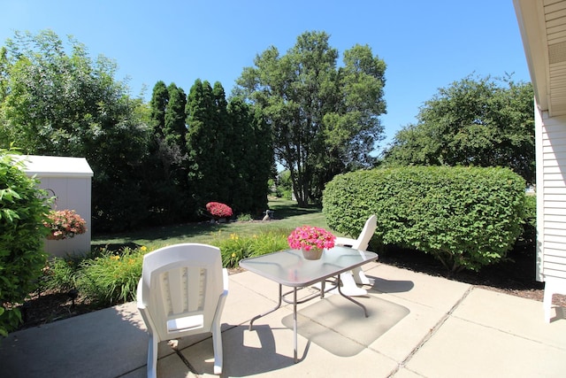 396 W 8th St, Manteno, IL 60950 - view of patio