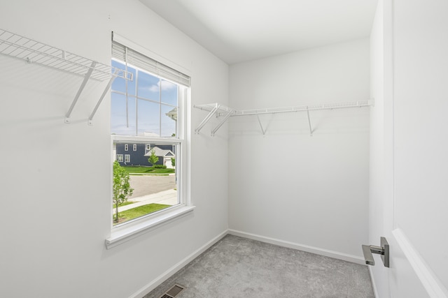 241 Stonington Dr, Bloomingdale, IL 60108 - spacious closet with carpet