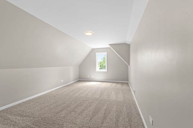 341 Tanager Dr, Woodstock, IL 60098 - additional living space with carpet flooring and lofted ceiling