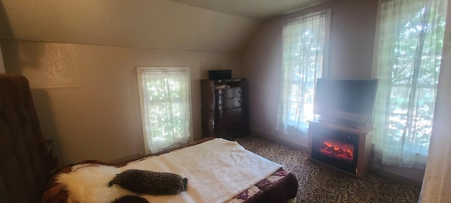 109 S 6th Ave, Sterling, IL 61081 - bedroom featuring vaulted ceiling, carpet, and a glass covered fireplace
