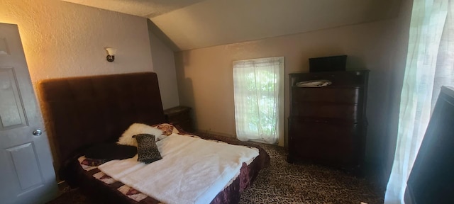 109 S 6th Ave, Sterling, IL 61081 - carpeted bedroom with vaulted ceiling and a textured wall