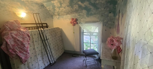 109 S 6th Ave, Sterling, IL 61081 - carpeted bedroom with lofted ceiling