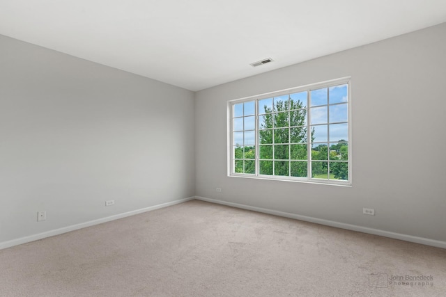 156 Morgans Gate Dr Unit 17-2, Wood Dale, IL 60191 - photo 17