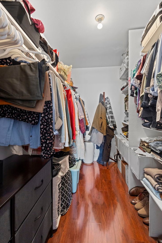1777 W Crystal Ln Unit 711, Mount Prospect, IL 60056 - spacious closet featuring wood finished floors