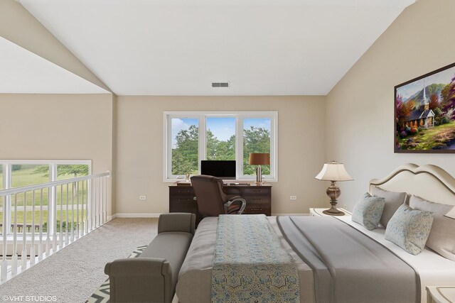 105 Iliad Dr, Tinley Park, IL 60477 - photo 19