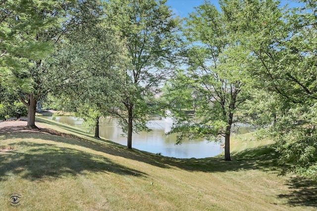 182 Hidden Pond Cir, Aurora, IL 60504 - photo 23