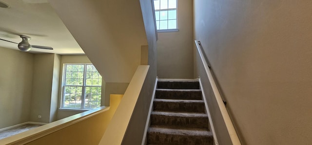 4313 Timber Ridge Ct, Joliet, IL 60431 - photo 9