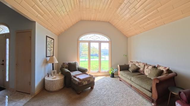11326 Wexford Dr, Mokena, IL 60448 - photo 5