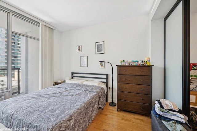 100 E 14th St Unit 1108, Chicago, IL 60605 - bedroom with light wood finished floors