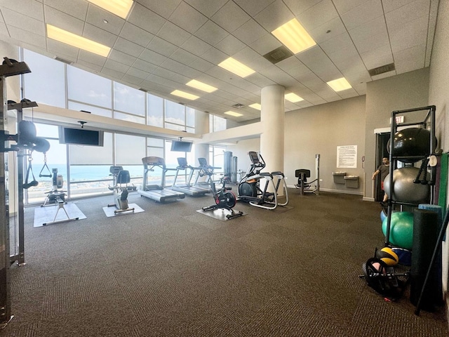 100 E 14th St Unit 1108, Chicago, IL 60605 - workout area with a towering ceiling and baseboards