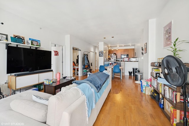 100 E 14th St Unit 1108, Chicago, IL 60605 - living area with light wood-style floors and rail lighting
