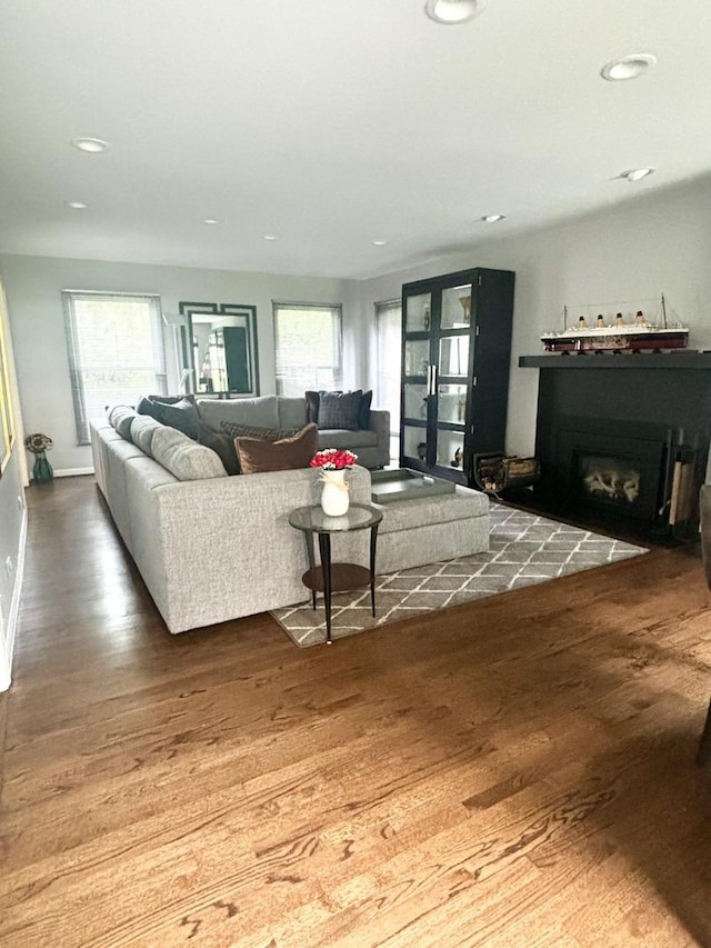 4049 Michelline Ln, Northbrook, IL 60062 - living room featuring wood finished floors, a glass covered fireplace, and recessed lighting
