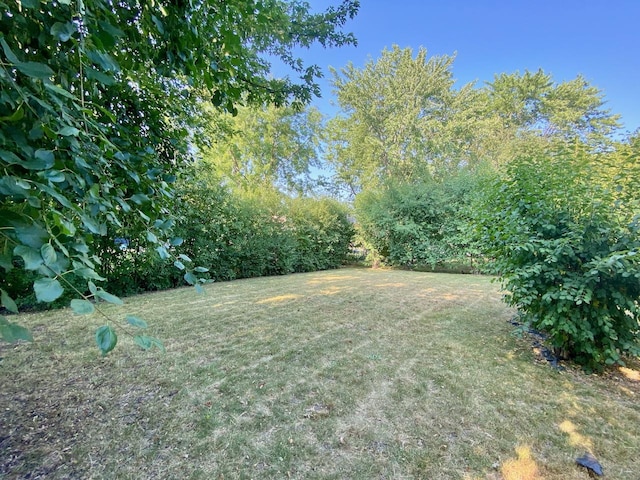 5058 Roberta Ln, Richton Park, IL 60471 - photo 22