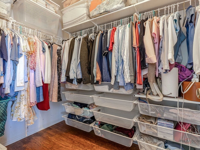 696 S Jade Ln, Round Lake, IL 60073 - walk in closet featuring wood finished floors