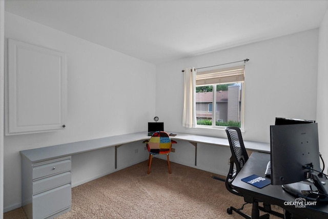 25 Cedar Ct, South Elgin, IL 60177 - office area with light carpet