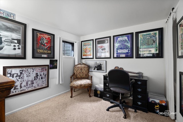 25 Cedar Ct, South Elgin, IL 60177 - office space featuring carpet and baseboards