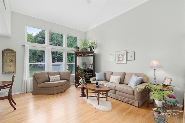 25 Cedar Ct, South Elgin, IL 60177 - living room featuring high vaulted ceiling, light wood-type flooring, and ornamental molding