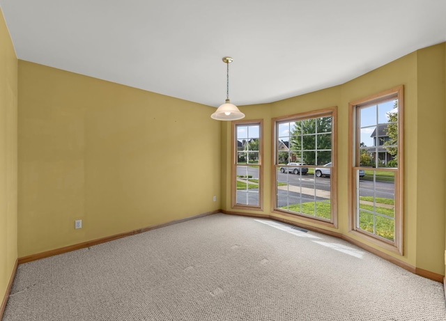 129 Devonshire Dr, Dekalb, IL 60115 - photo 6