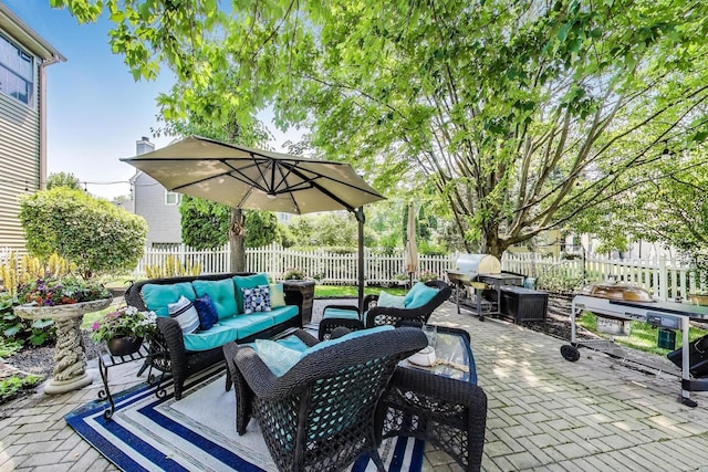 346 Colonial Cir, Geneva, IL 60134 - fenced backyard with outdoor lounge area, a patio area, and area for grilling