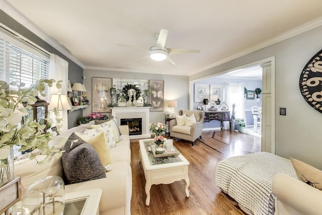 346 Colonial Cir, Geneva, IL 60134 - living room featuring wood finished floors, healthy amount of natural light, ornamental molding, ceiling fan, and a fireplace with raised hearth