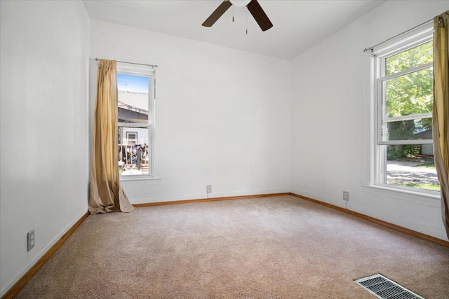1102 N Lee St, Bloomington, IL 61701 - photo 23