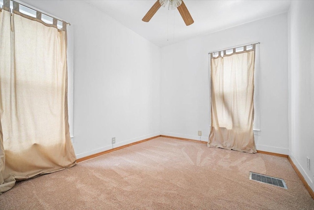 1102 N Lee St, Bloomington, IL 61701 - photo 8