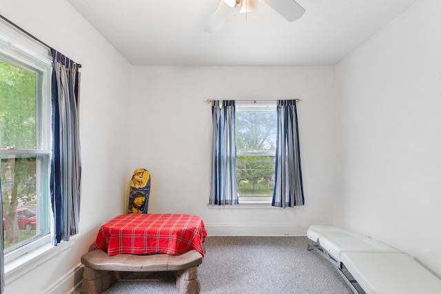 512 Ryerson Ave, Elgin, IL 60123 - sitting room with plenty of natural light, carpet flooring, and ceiling fan
