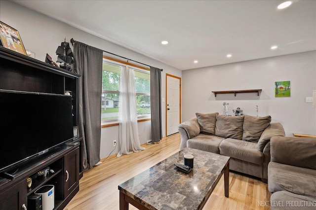 508 E Park St, Plano, IL 60545 - living room with light wood-style flooring and recessed lighting