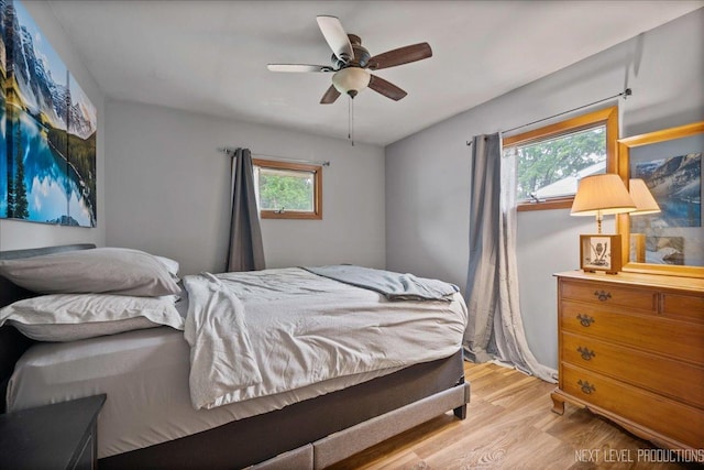 508 E Park St, Plano, IL 60545 - bedroom with light wood-type flooring, multiple windows, and a ceiling fan