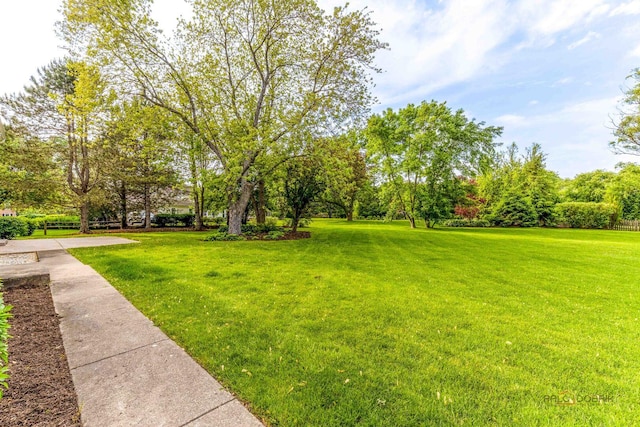 105 Surrey Ln, Lincolnshire, IL 60045 - photo 65