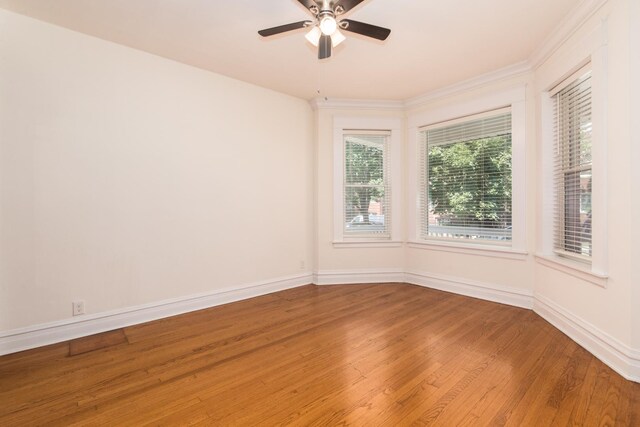 3029 N Haussen Ct, Chicago, IL 60618 - unfurnished room featuring wood finished floors, ceiling fan, and ornamental molding