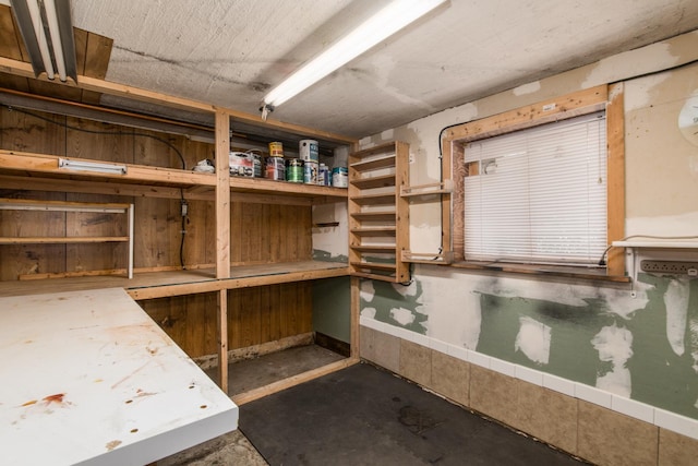 3029 N Haussen Ct, Chicago, IL 60618 - view of storage