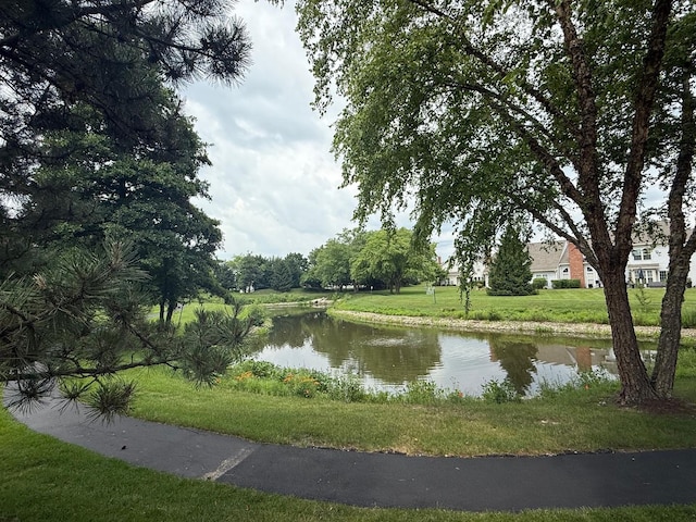 36138 N Springbrook Ln Unit 36138, Gurnee, IL 60031 - water view