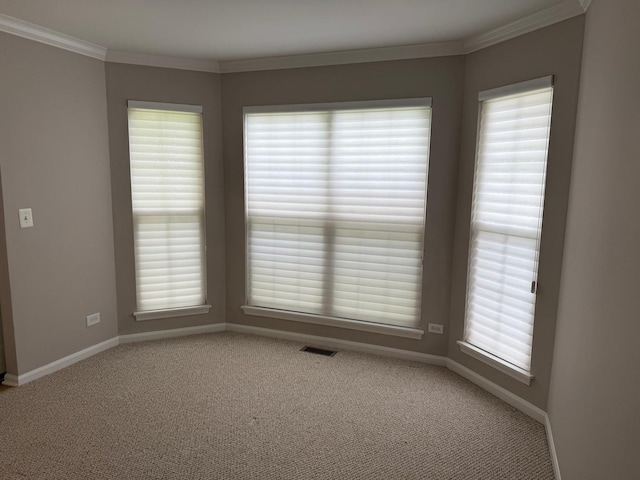 36138 N Springbrook Ln Unit 36138, Gurnee, IL 60031 - carpeted empty room featuring crown molding