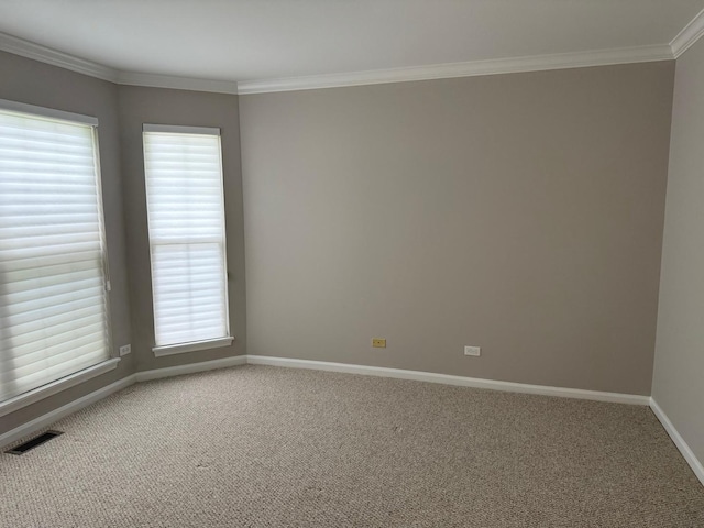 36138 N Springbrook Ln Unit 36138, Gurnee, IL 60031 - empty room featuring carpet, ornamental molding, and plenty of natural light