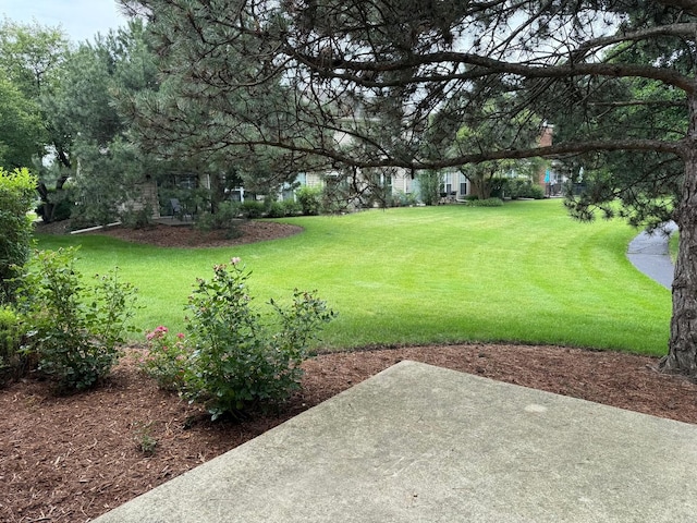 36138 N Springbrook Ln Unit 36138, Gurnee, IL 60031 - view of green lawn featuring a patio area
