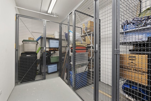 6420 Double Eagle Dr Unit 510, Woodridge, IL 60517 - view of storage room
