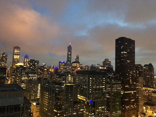 260 E Chestnut St Unit 3001, Chicago, IL 60611 - photo 31