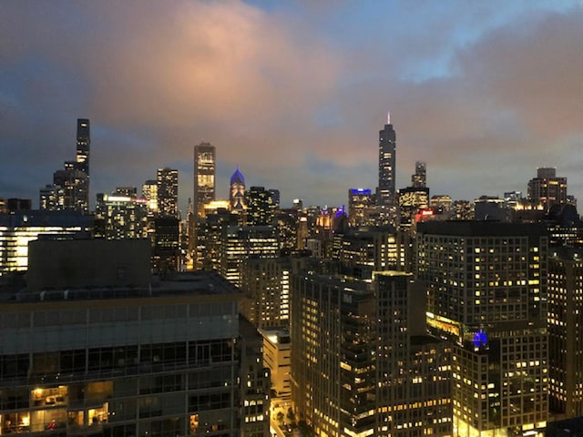 260 E Chestnut St Unit 3001, Chicago, IL 60611 - photo 32