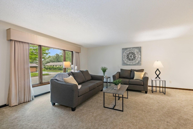 1622 Pickwick Ln, Dekalb, IL 60115 - living area featuring light carpet and a textured ceiling