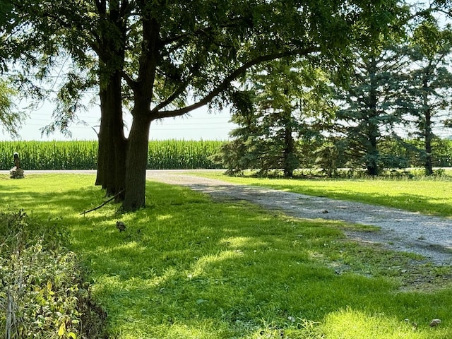 214 S Rising Rd, Champaign, IL 61822 - view of home's community with a lawn and a view of rural / pastoral area