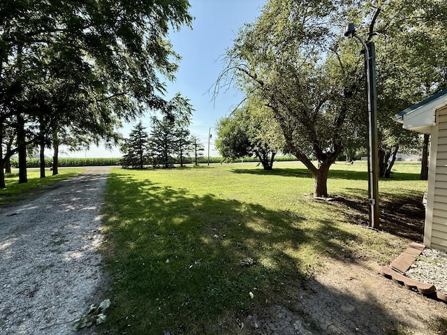 214 S Rising Rd, Champaign, IL 61822 - view of green lawn