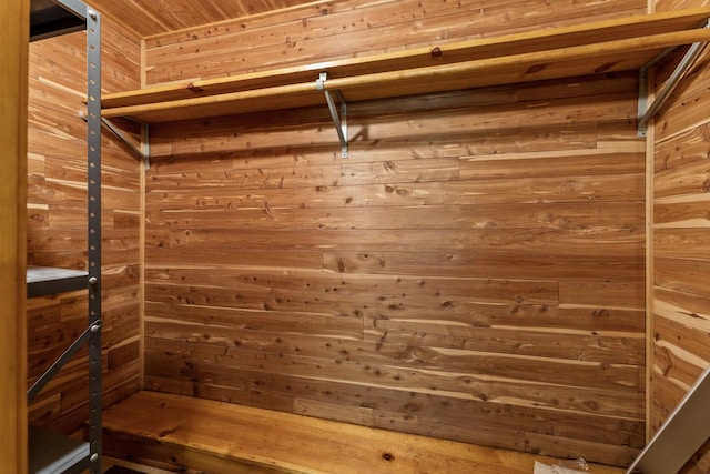 5261 N Natchez Ave, Chicago, IL 60656 - view of closet