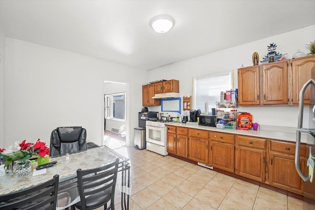 538 Green Bay Rd, Highwood, IL 60040 - photo 11