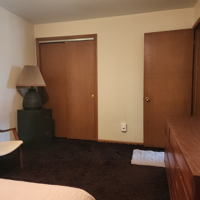 5549 W 83rd Pl, Burbank, IL 60459 - carpeted bedroom with a closet
