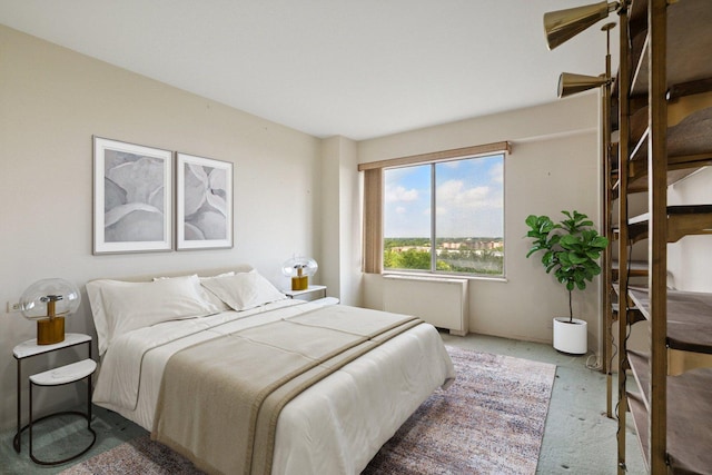 7033 N Kedzie Ave Unit 911, Chicago, IL 60645 - bedroom featuring carpet floors and radiator heating unit