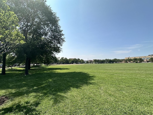 1708 W Cermak Rd Unit 2E, Chicago, IL 60608 - photo 16