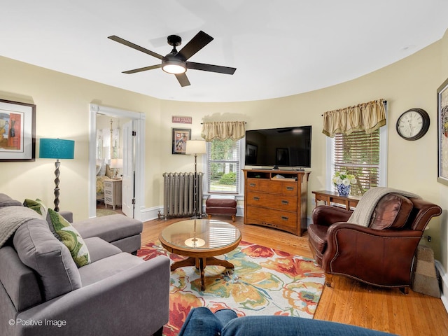 442 Du Page St, Elgin, IL 60120 - living room with radiator heating unit, a ceiling fan, and wood finished floors